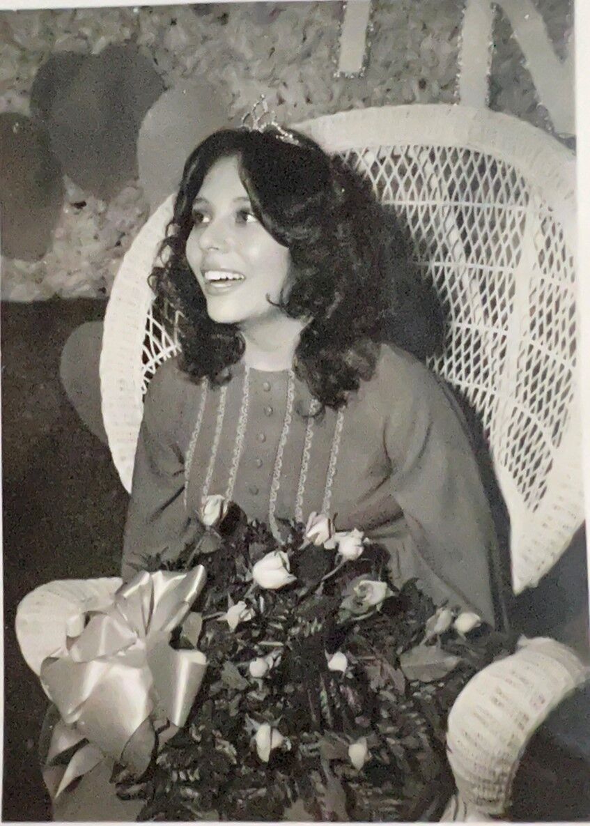 Terri Hollis